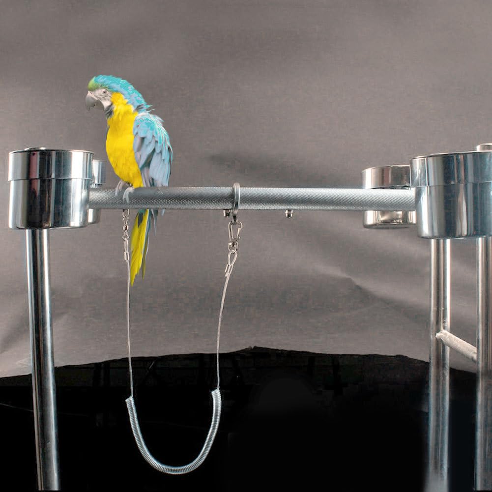 Cavigliera per Uccelli da Compagnia, Catena per Pappagalli Pettorina per Uccelli Pappagallo Ultraleggera Guinzaglio Anti-morso Volo All'aperto Corda da Addestramento Forniture per Animali