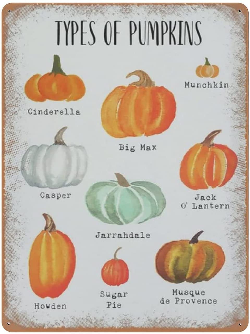 rayprint Types of Pumpkin Metal Tin Sign Pumpkin Wine Poster Painting For Farmhouse Country Home Wall Decor Retro Poster 8x12 Inch