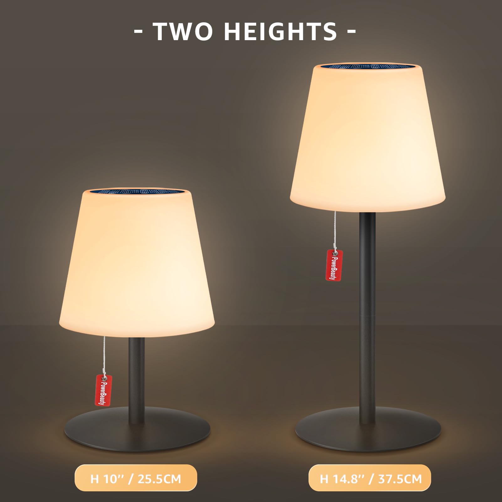 MALUX Lampe De Table LED Extérieur 2 Pièces Avec Télécommande Blanc Chaud 8 Couleurs Intensité Variable Lampe De Table Sans Fil étanche IP44 Pour Votre Maison Et Jardin (Silicium,petit