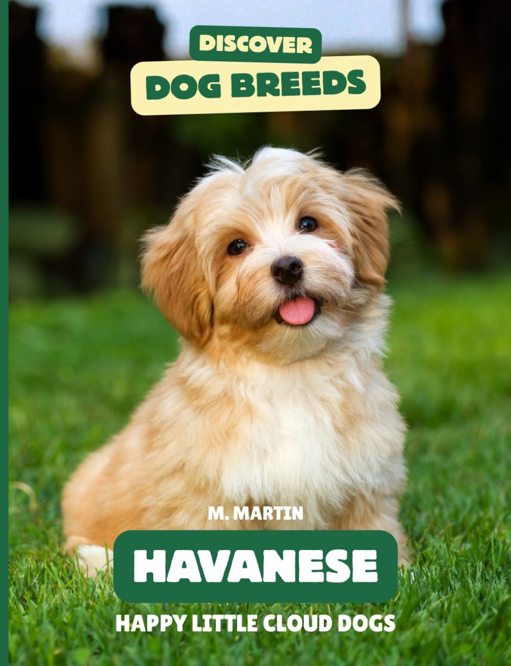 Havanese: Happy Little Cloud Dogs (Discover Dog Breeds)