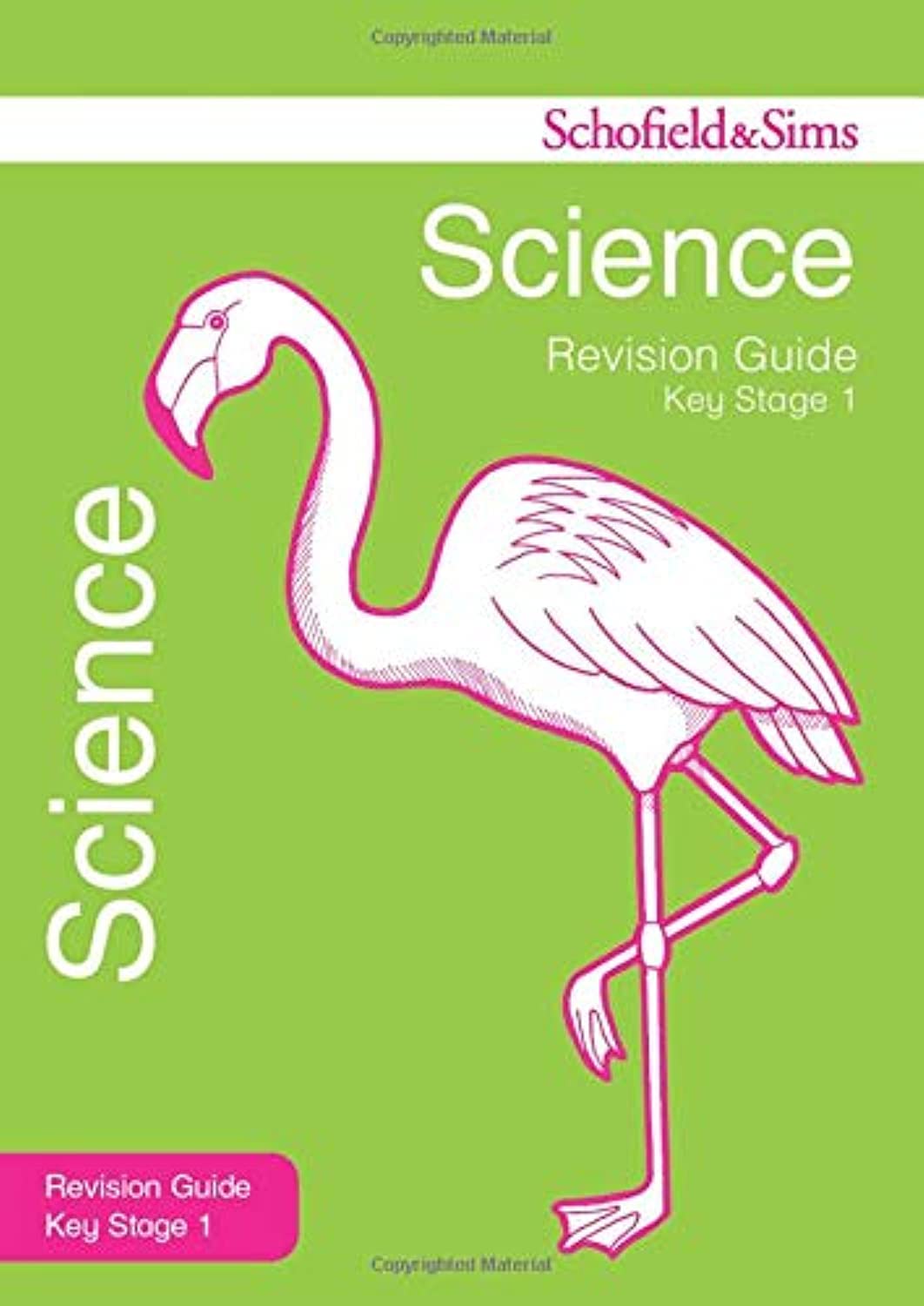 KS1 Science Revision Guide (for the SATs test) (Schofield & Sims ...