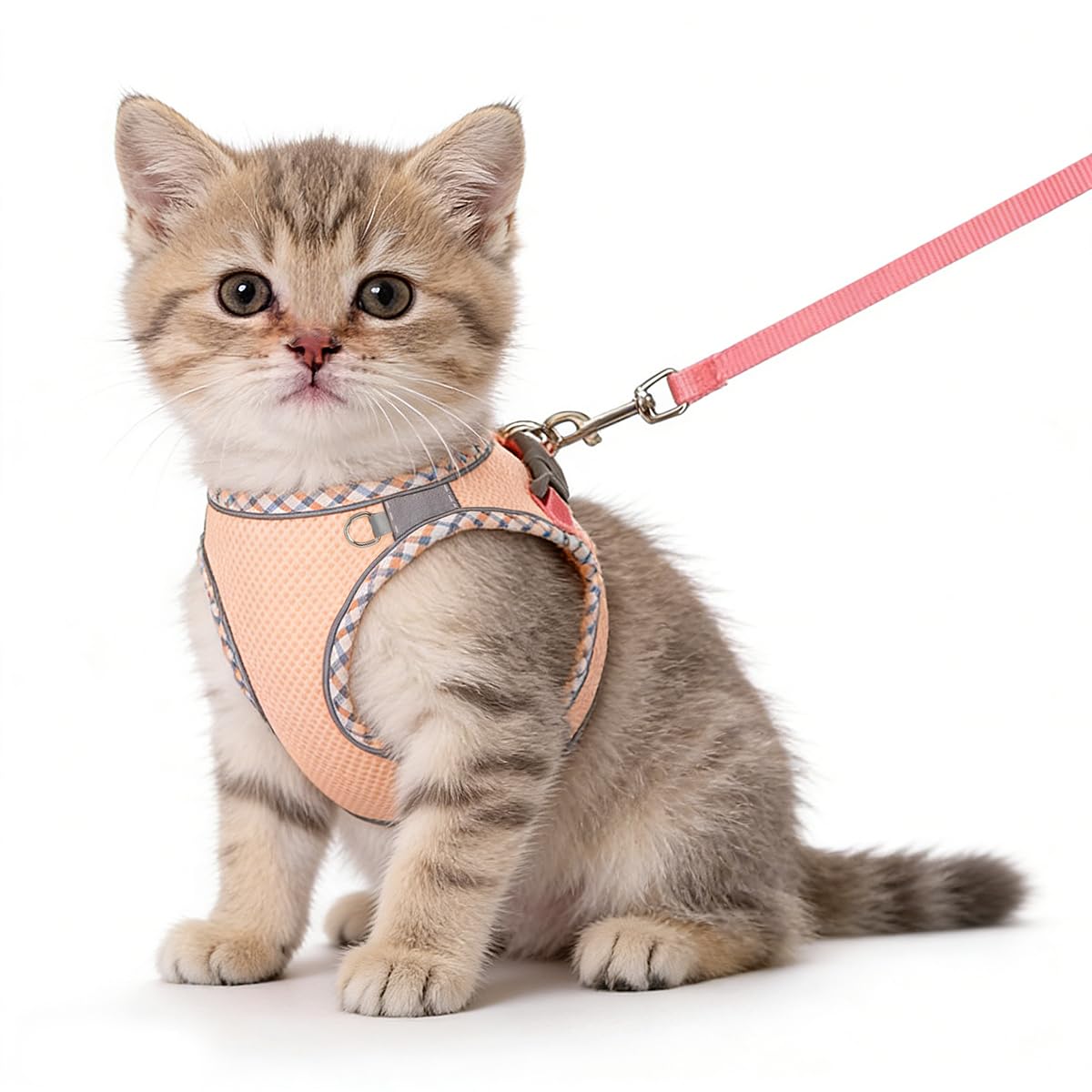 Cat Harness with Leash, Pink, XXS (2-3 kg) | Break-Resistant, Reflective Stripes, Adjustable Vest, Soft