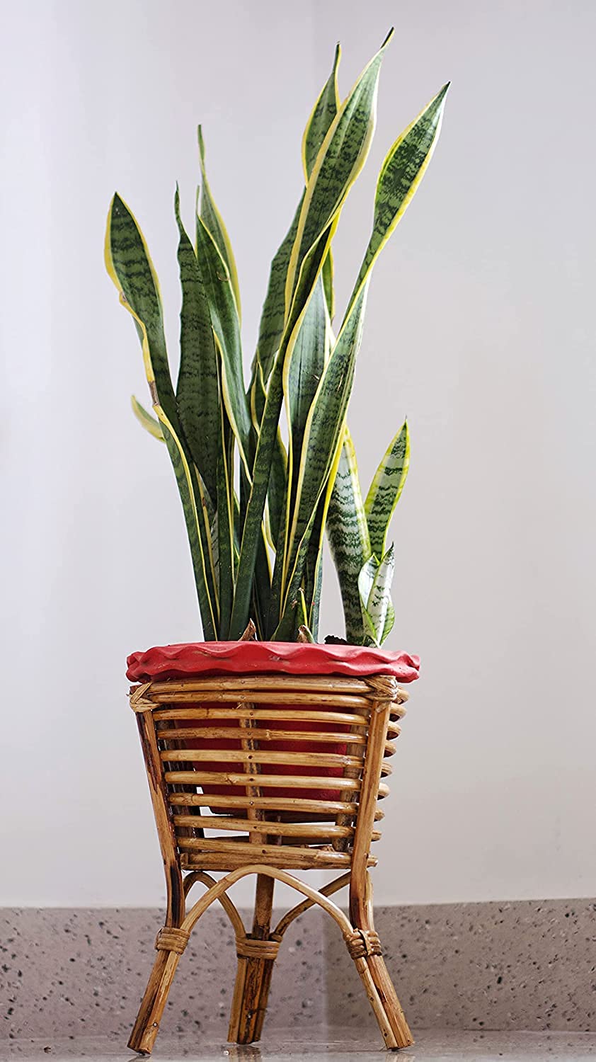 bharat traders Friendly Handcrafted Cane Bamboo Plant Stand | Plant Stand for Indoor Plants | Indoor Outdoor Gardening Kit | Suitable for Living Room Balcony Cafe (B0C8GBTQ4F) Amazon Price History, Amazon Price Tracker
