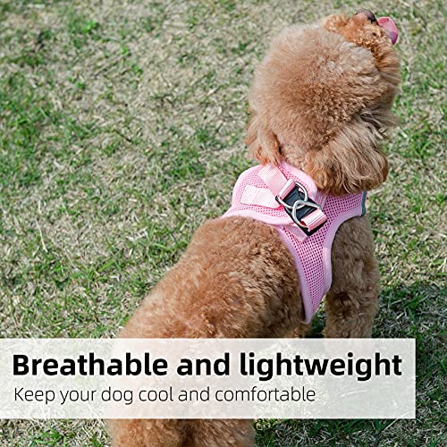 PINA Dog Harness for Small Medium Dogs No Pull, Dog Harness and Leash Set, No Choke Breathable Mesh Dog Vest Harness… - Image 3