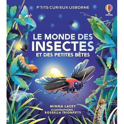 Le monde des insectes et des petites b&ecirc;tes - P'tits curieux Usborne - D&egrave;s 5 ans
