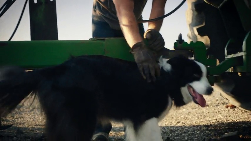 instinct raw boost cat