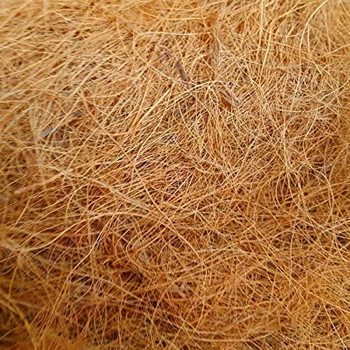 RKV Manually Extracted Natural Coir Fiber for Making Artistic Work DIY Garden Accessories (200gm) (B09M4TB435) Amazon Price History, Amazon Price Tracker
