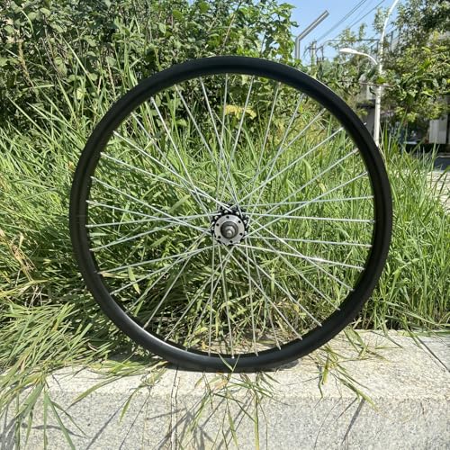 26" Aluminum Rear Wheel, 36 Spokes, MTB/Road/Cruiser