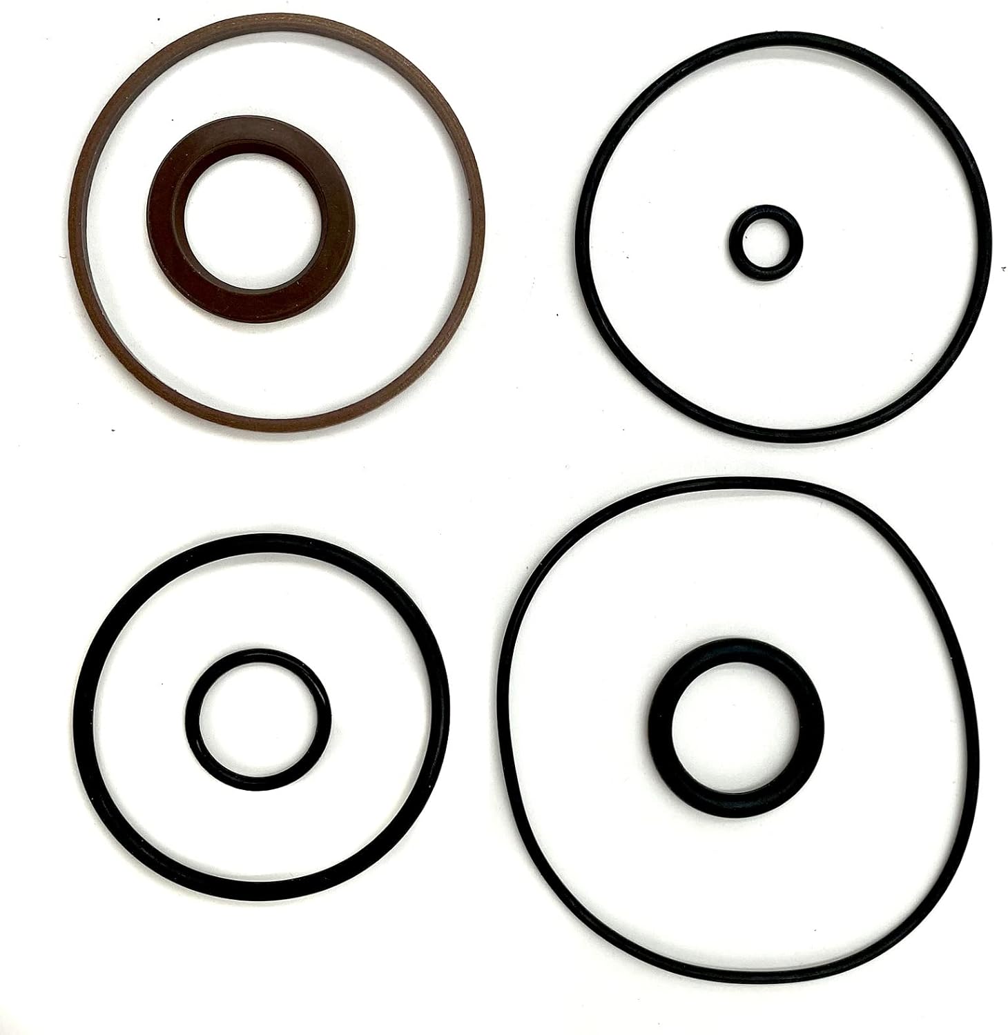 1 juego de reparación de pistón de moldura 5008985 compatible con sello Evinrude ETEC Marine 75-115hp ETEC 2006-2020 FSM016