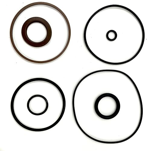 1 juego de reparación de pistón de moldura 5008985 compatible con sello Evinrude ETEC Marine 75-115hp ETEC 2006-2020 FSM016 disponible en Yaxa Peru