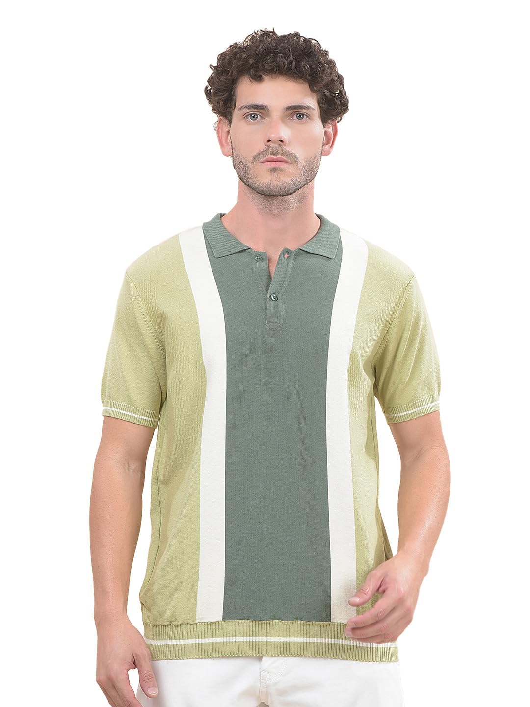 cantabil Men's Striped Cotton Blend T Shirt | Polo Neck | Half Sleeve | Plain-Regular Fit-picture-31