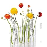 8 Test Tubes Flower Vases Plant Display Holder, Glass Vase with S Racks Hydroponic Test Tube Vase ,