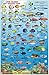 Cook Islands Dive Map & Coral Reef Creatures Guide Franko Maps Waterproof Fish Card