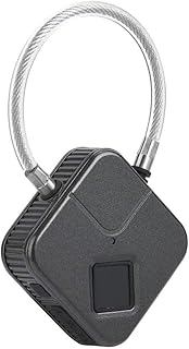 Fingerprint Lock,Bag Padlock with Metal IP66 Waterproof,Suitable for Gym Locker,School Locker Lock,Backpack,Suitcase,Travel Luggage (Color : D) (D)