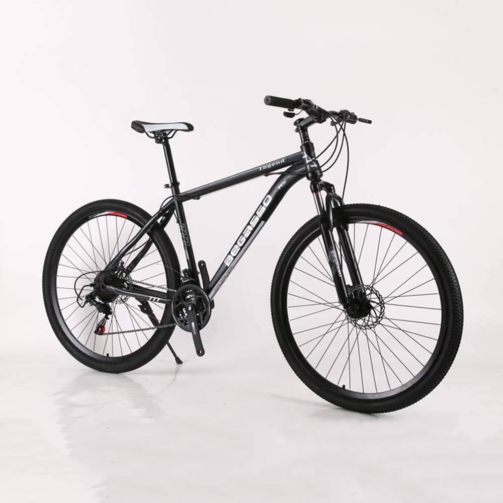 29 inch road bike