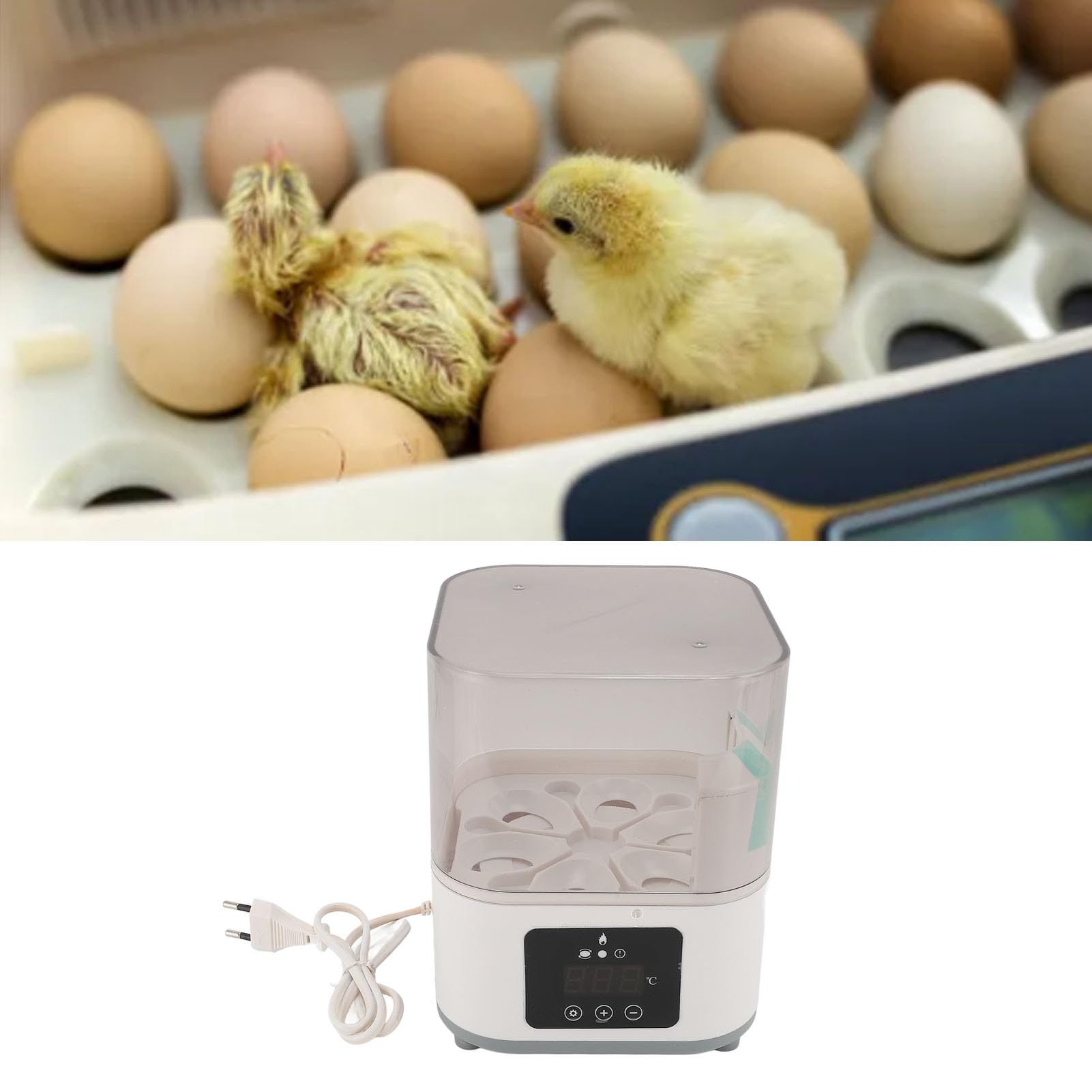 Incubatrice per Uova con Rotazione Automatica delle Uova, Incubatrici per Polli per Uova da Cova, Contiene 6 Uova, Rotazione di 360 Gradi con Finestra Trasparente per Polli da