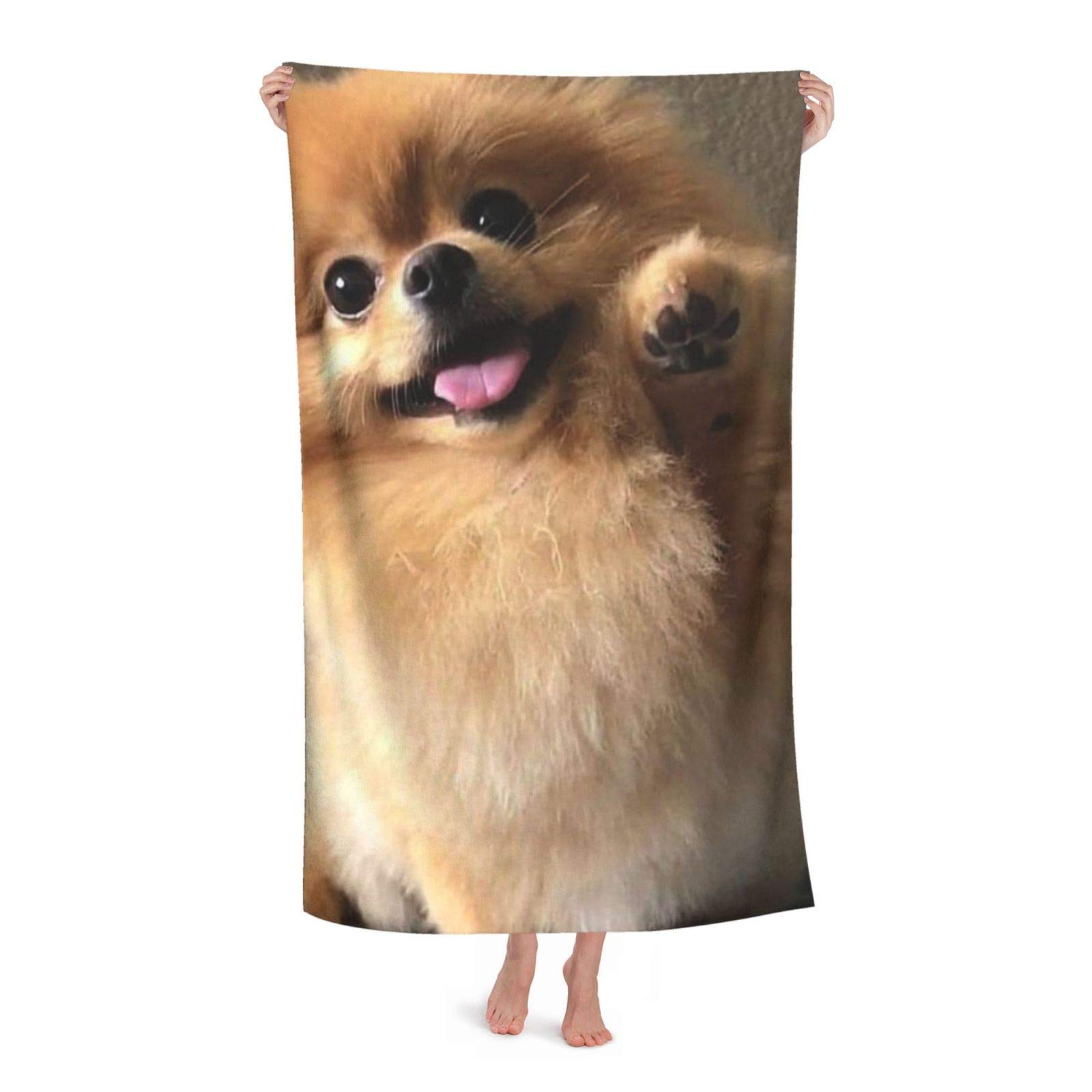 How Often Should You Bathe A Pomeranian