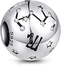 NINGAN 12 Zodiac Sign Birthday Charms - 925 Sterling Silver Charms Fit Bracelet & Necklace - Ideal Birthday Gifts for Women and Friends