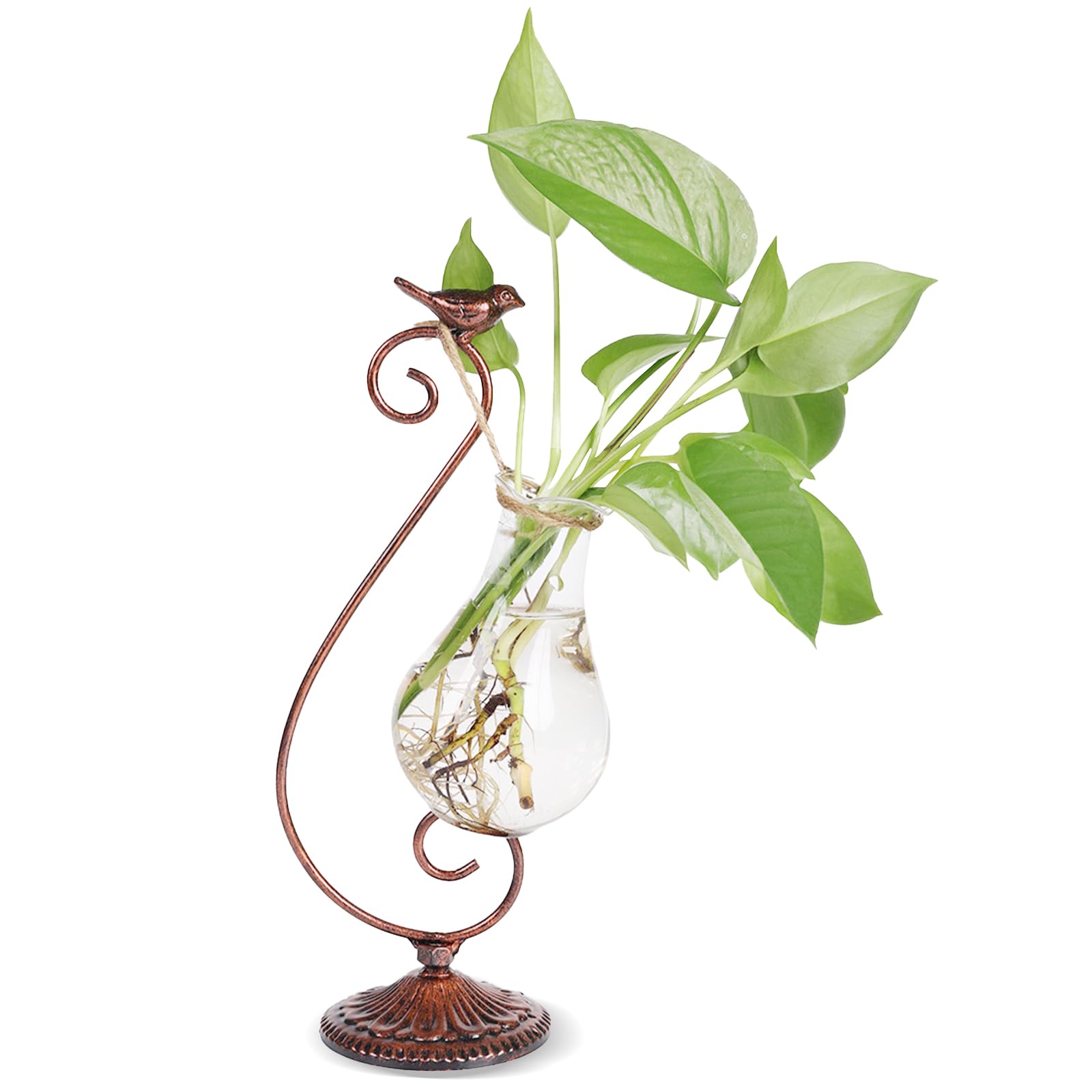 Propagated Plant Vase, Glass Planters for Indoor Plants, with Metal Frame Vintage Pattern Iron Cast Bird, Gifts for Plant Lovers, for Indoor Desktop, Office, Home Decor
