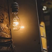 Vista 4 de Luces de paisaje - Bombillas Malibu T5 de bajo voltaje, 11 W, 12 V, base de cuña, paquete de 10