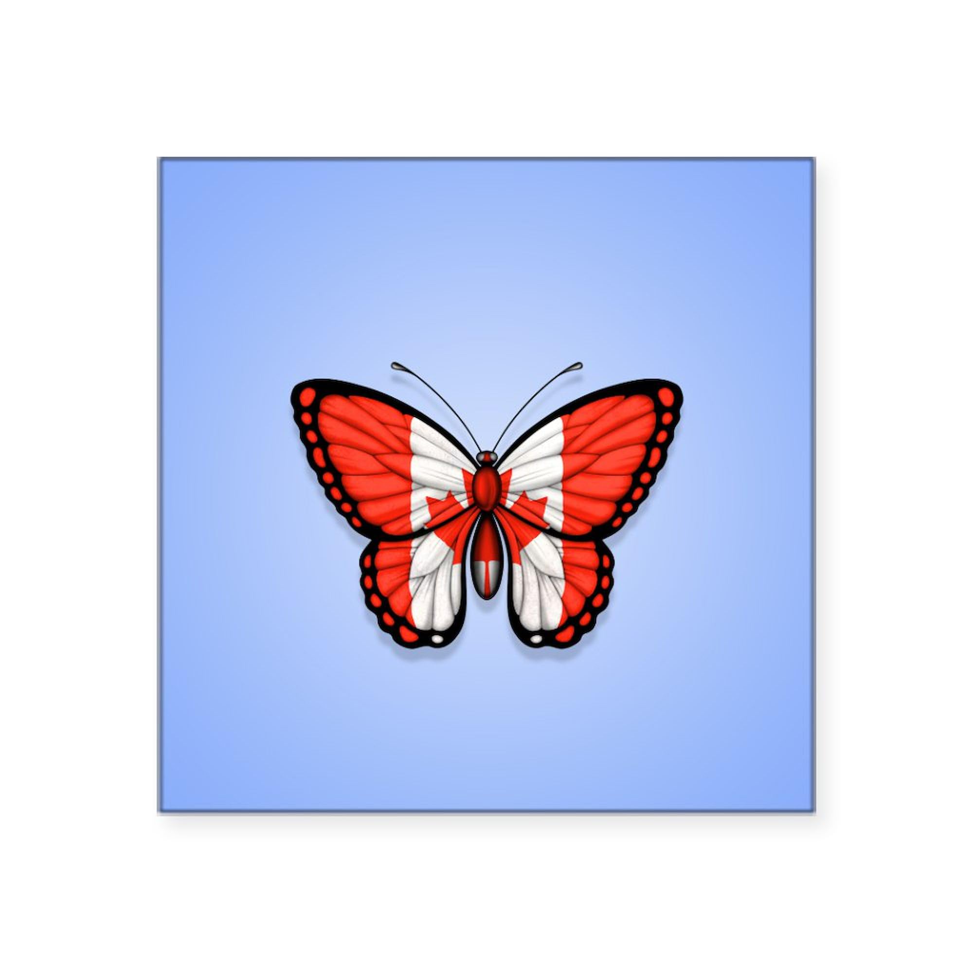 CafePress Canadian Flag Butterfly On Blue Sticker Square Bumper Sticker Car Decal