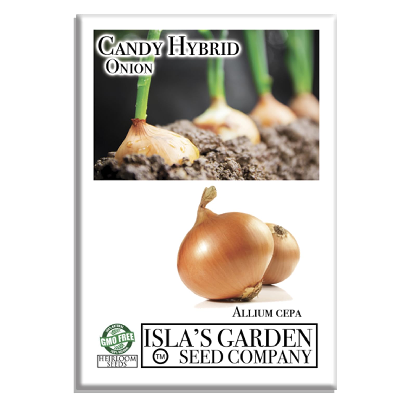Amazon.com : Candy Hybrid Onion Seeds (Allium cepa) – 50+ Non-GMO
