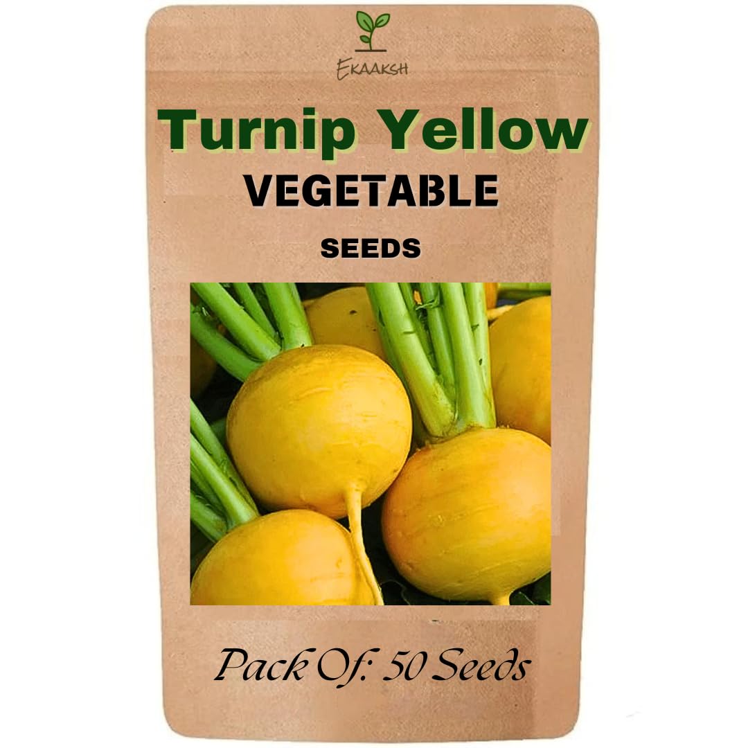 Ekaaksh - Turnip Yellow Seeds + Free Seed Germination Paper + Planting Guide - New Seeds with Test Result - Best for Pots, Terrace & Kitchen Gardening-image-38