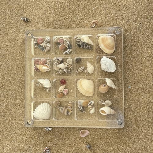 Image of Acrylic Magnetic Seashell Display Box,DIY Seashell Display Box,Clear Storage Box for Seashell,Gemstones,Nail,Jewelry (1Pc 16 Grids Medium)