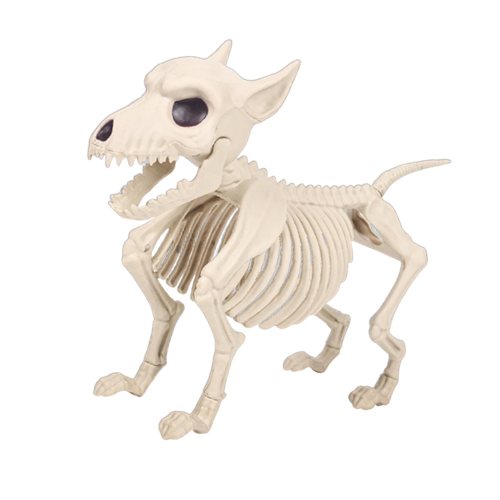 Squelette de chien Halloween avec os détaillés pour chiot miniature