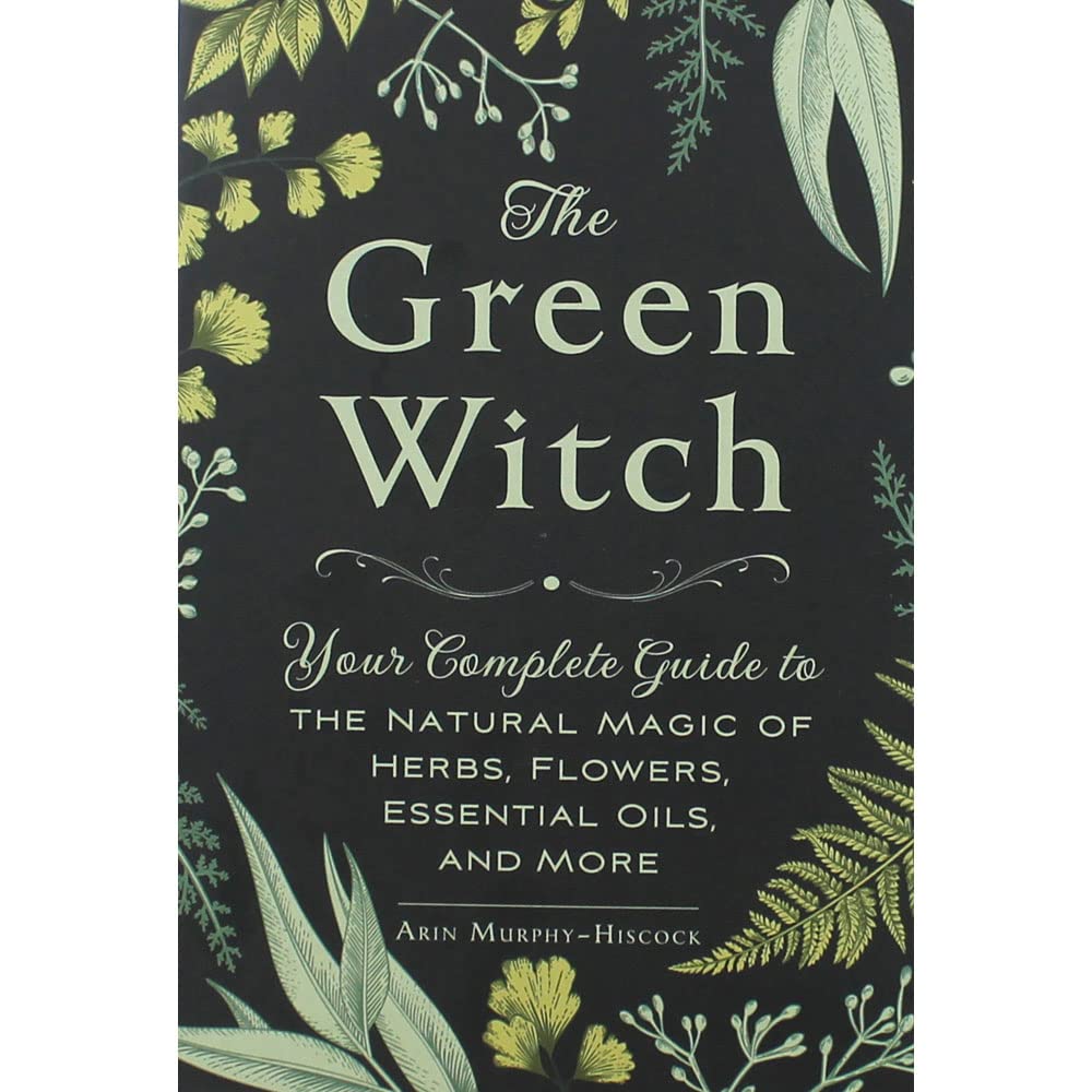 Simon & Schuster Green Arin Murphy-Hiscock The Witch