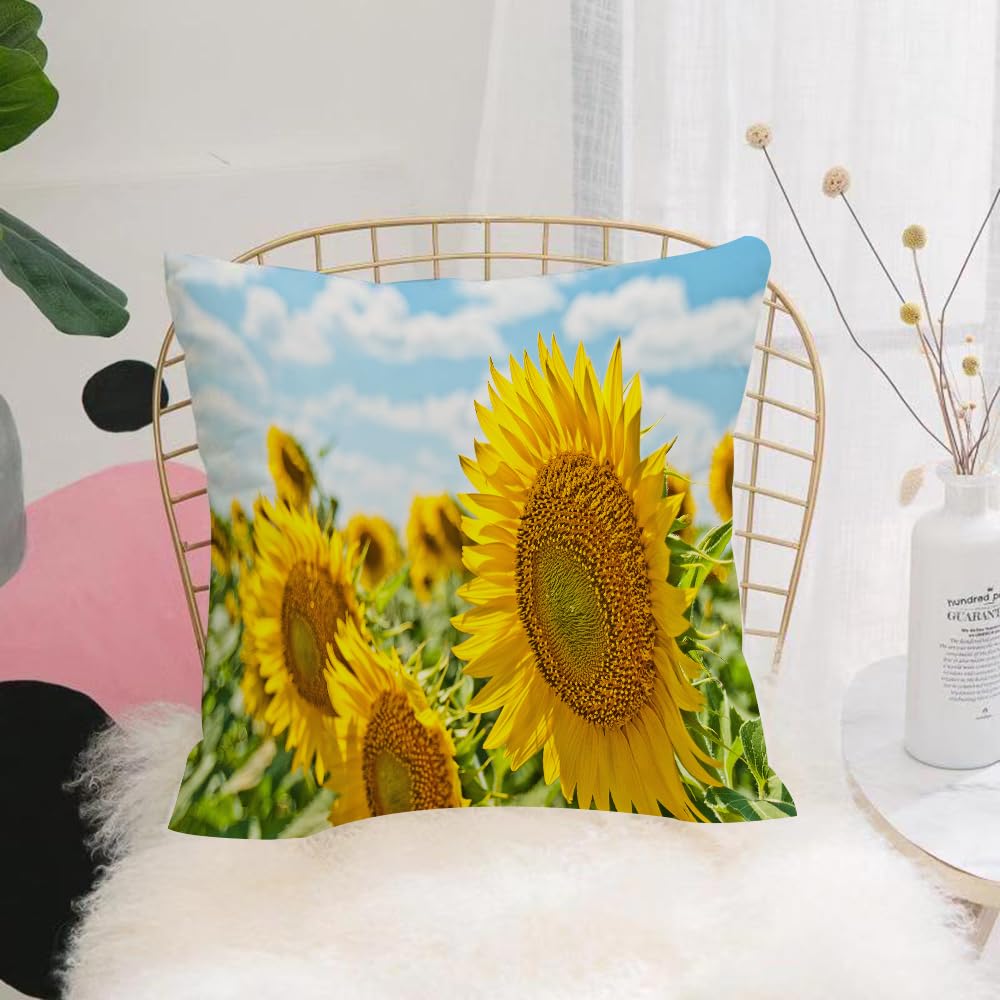 Hyosxw Large Blossoming Sunflower In Detail On A Ba - A1 Cushion Cover,Throw Pillow Case Home Decorative For Living Room Bedroom Sofa Chair 18X18 Inch,Large Blossoming Sunflower In Detail On A Background Of Field With Sunflowers A,Pillowcase 45X45cm