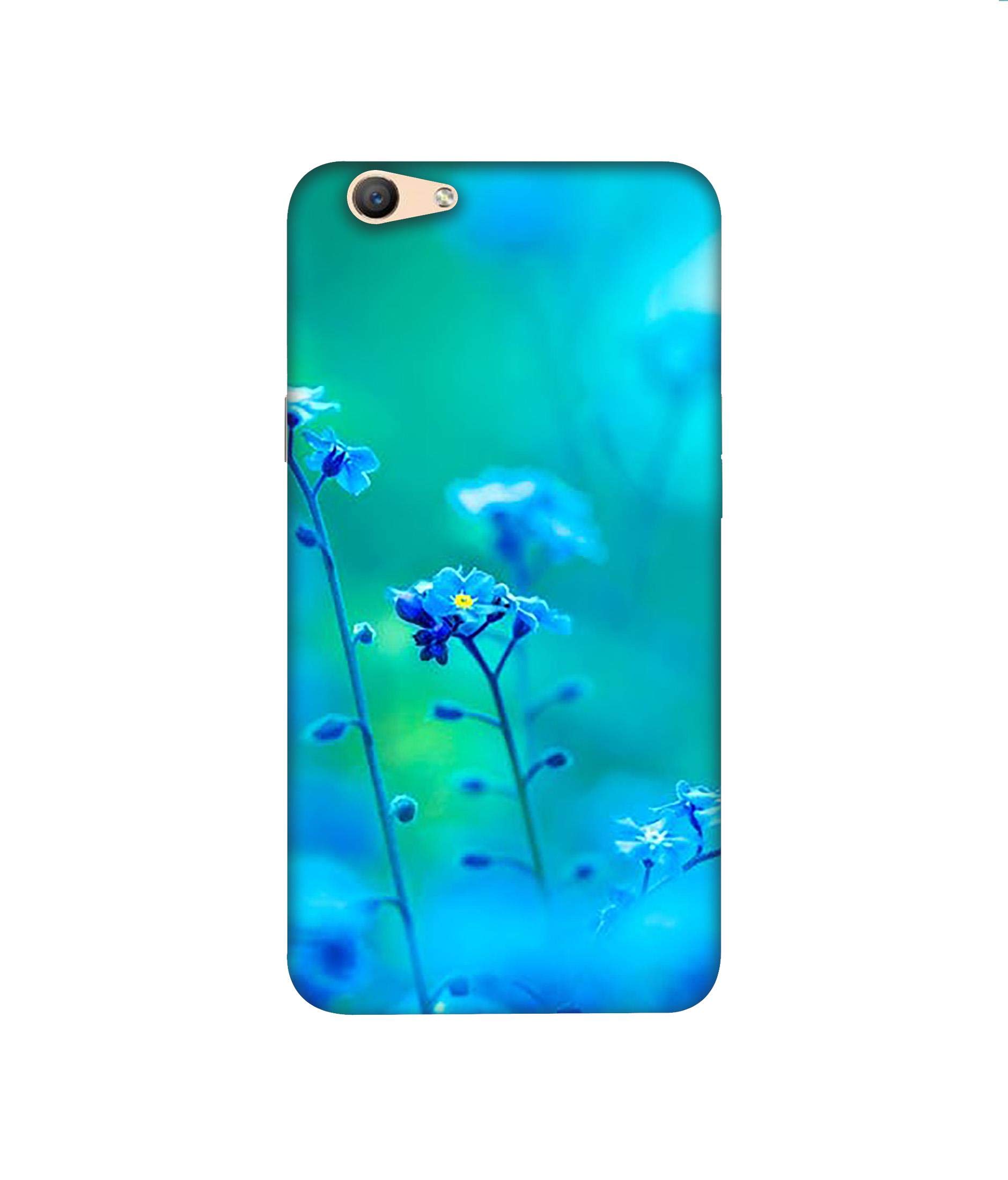 Amazon Brand - Solimo Hardcover Designer Blue Flower 3D Printed Hard Back Case Mobile Cover for Oppo F1S (B07TD3PJDL) Amazon Price History, Amazon Price Tracker