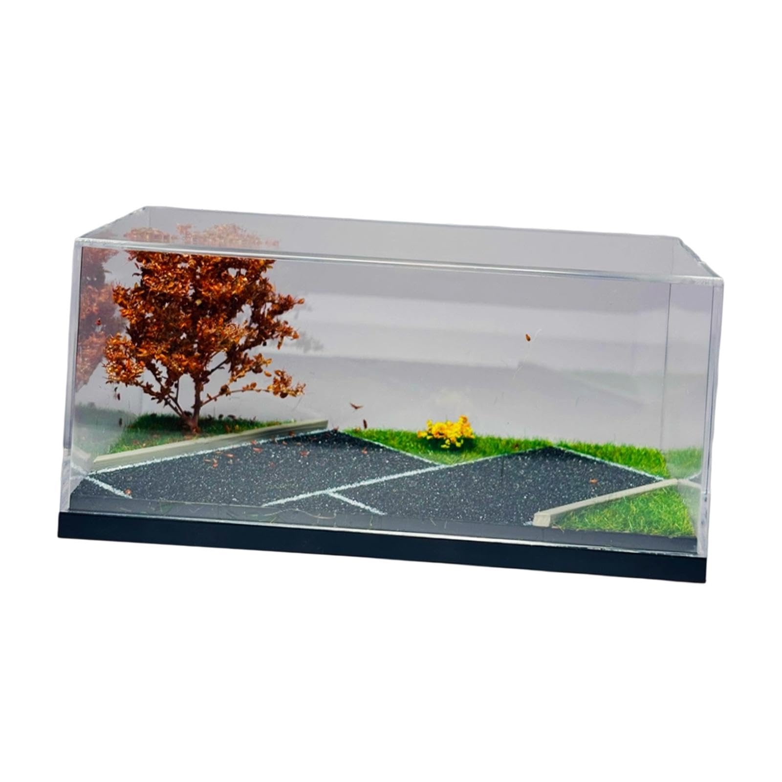 Vetrina per Veicoli in Miniatura in 1/64 con Vetro Acrilico E Albero Trasparente