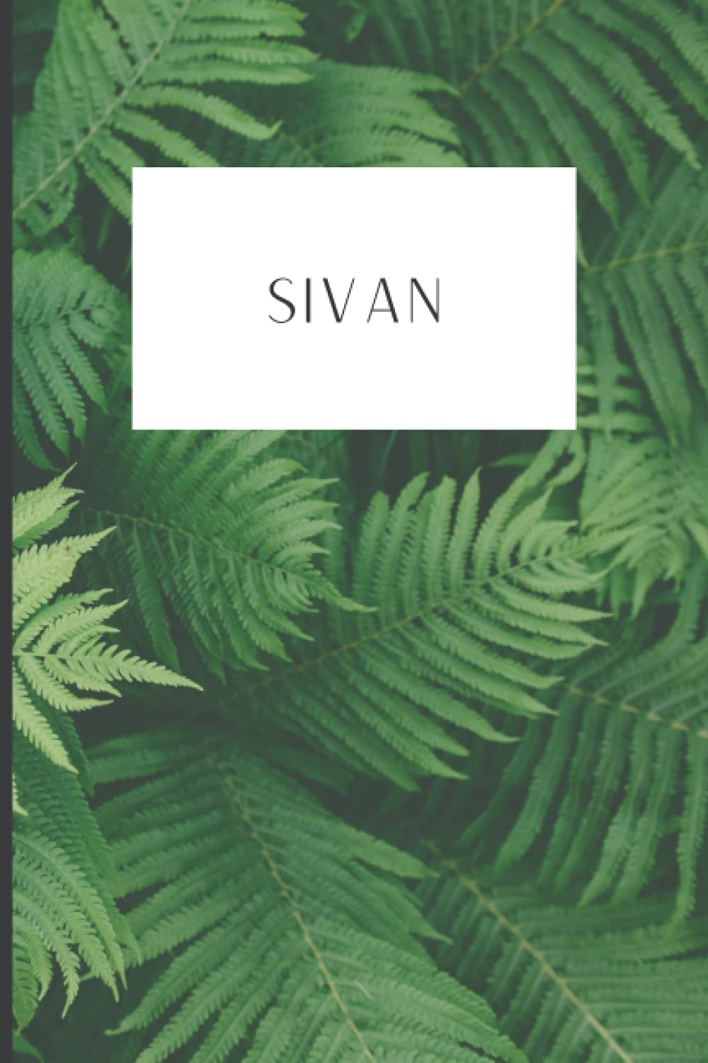 Hebrew Month Prayer Journal: Sivan: Paperback, 120 Pages (Hebrew Month Prayer Journal: Spiritual Growth Series (Set of 12 Journals))