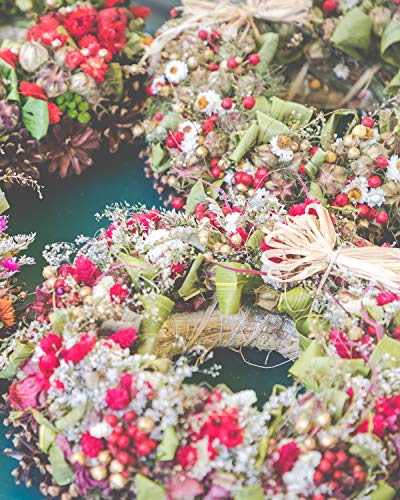 Sntieecr 2 Pcs 14 Inch Large Natural Grapevine Wreathes Vine Branch Wreath Rattan Wreath Garland Decoration For Diy Festivals Decorations, Wreath Craft And Wedding Decors #TOP4