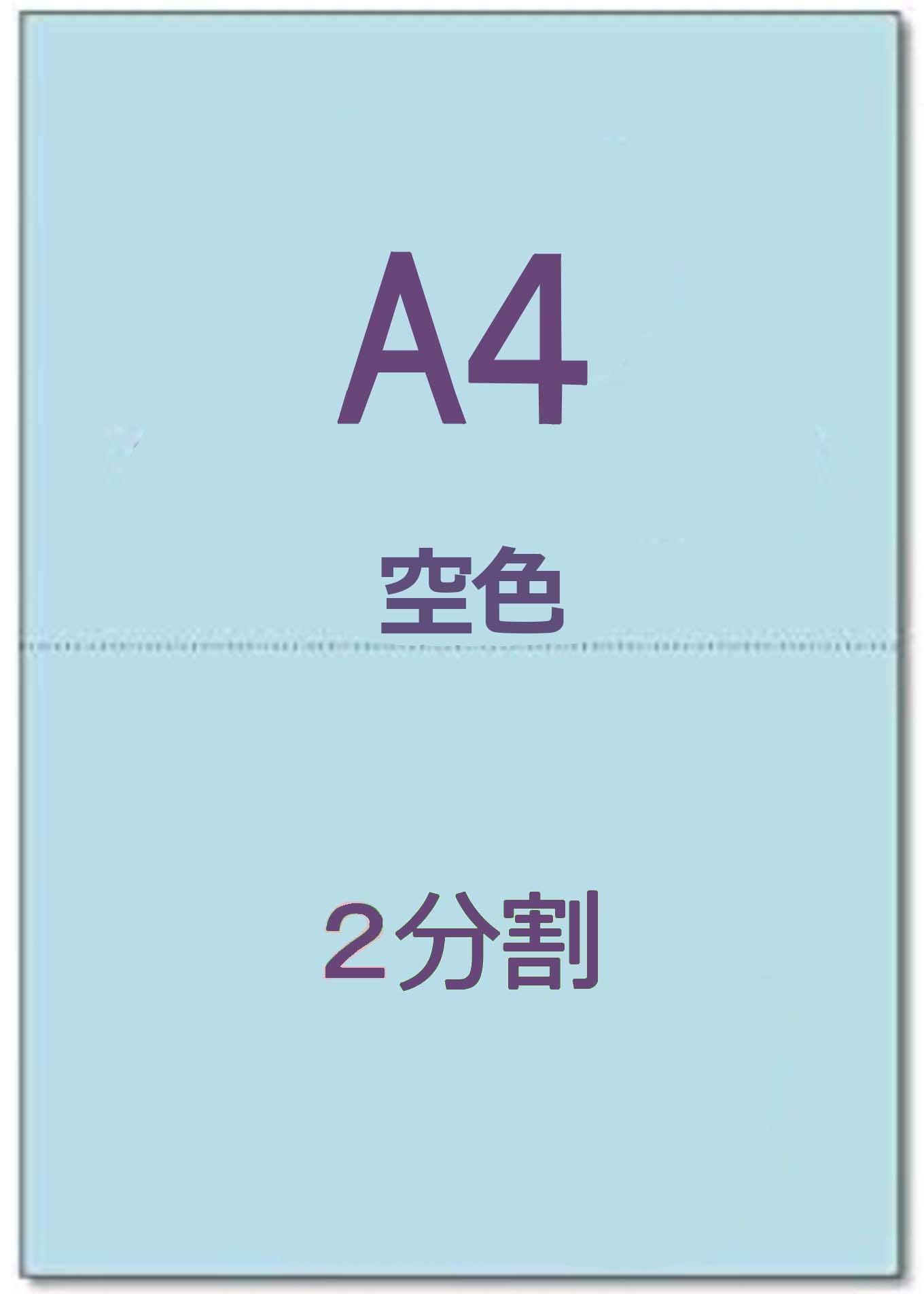 みみページ プラスチックさら小ねじ M5×25mm 2本 | ねじ・くぎ・針金・建築