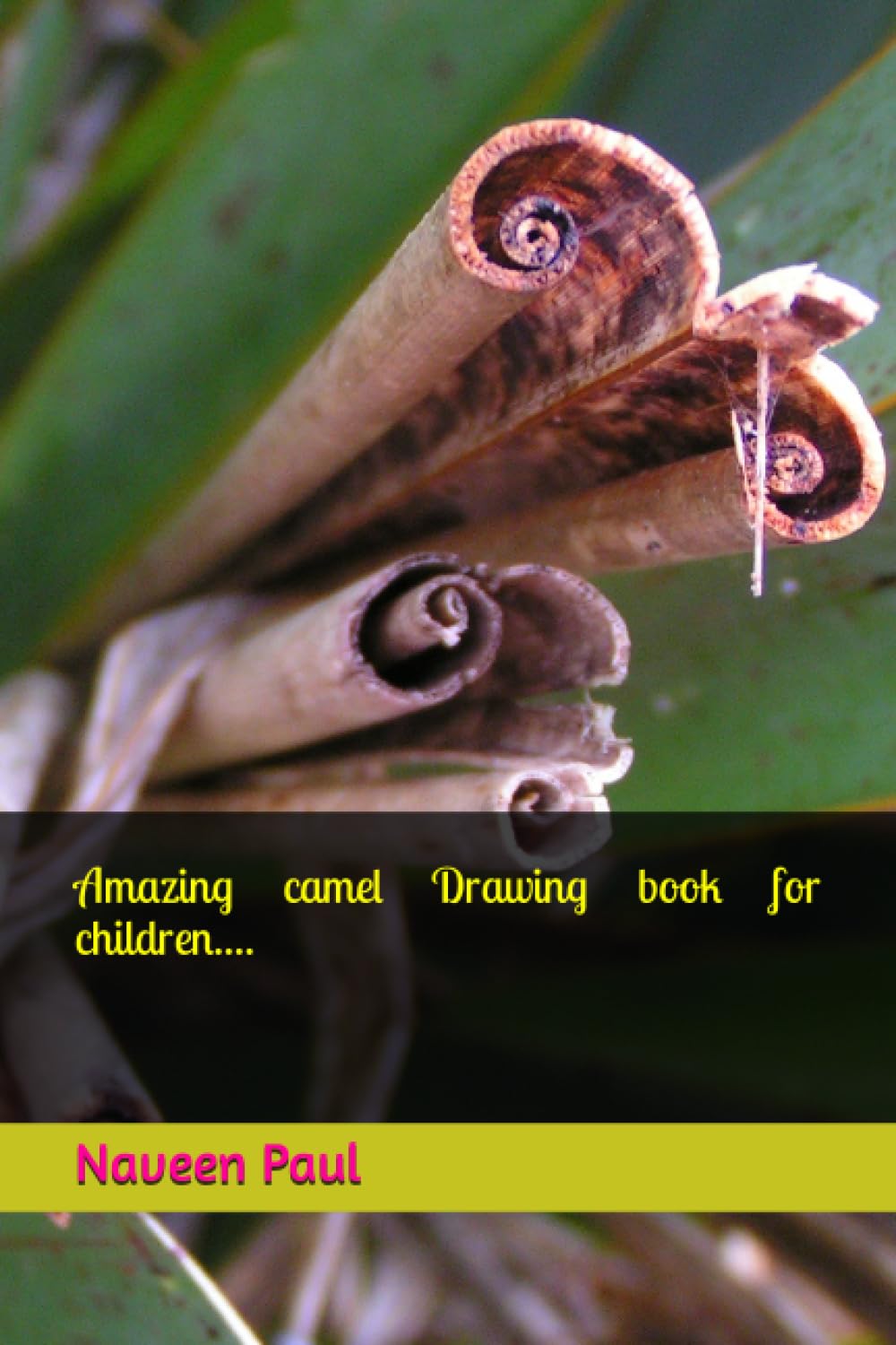 Amazing camel Drawing book for children....