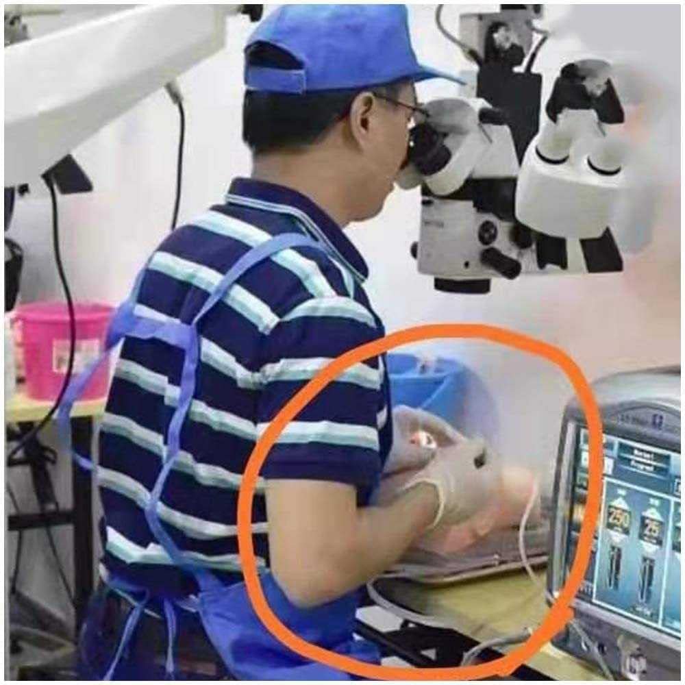 Tieraugen-Trainingsmodell – Silikon-Ophthalmologie-Kopf für medizinische Praxis, Krankenschwester Bildungsbedarf, Gesichtstraining-Mannequin für Studenten