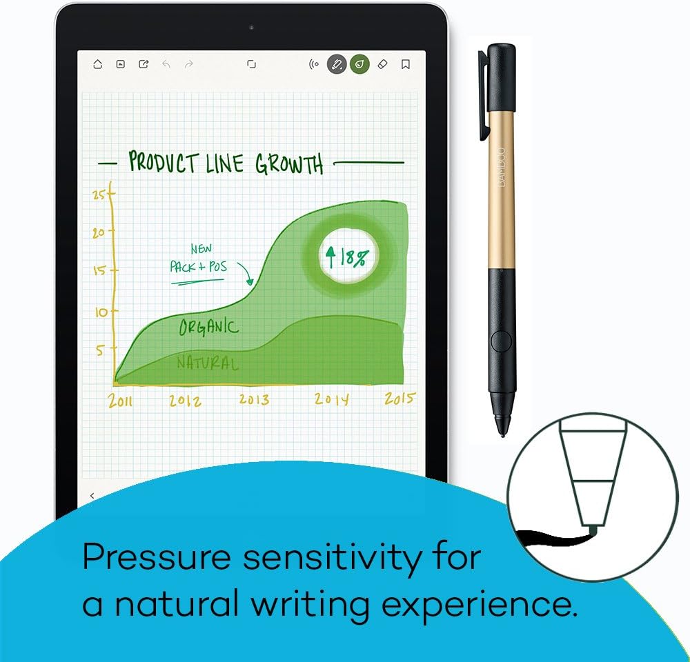 Wacom Bamboo Fineline 2 Fine Point, Thin Tip Stylus for iPad (CS600C1D)