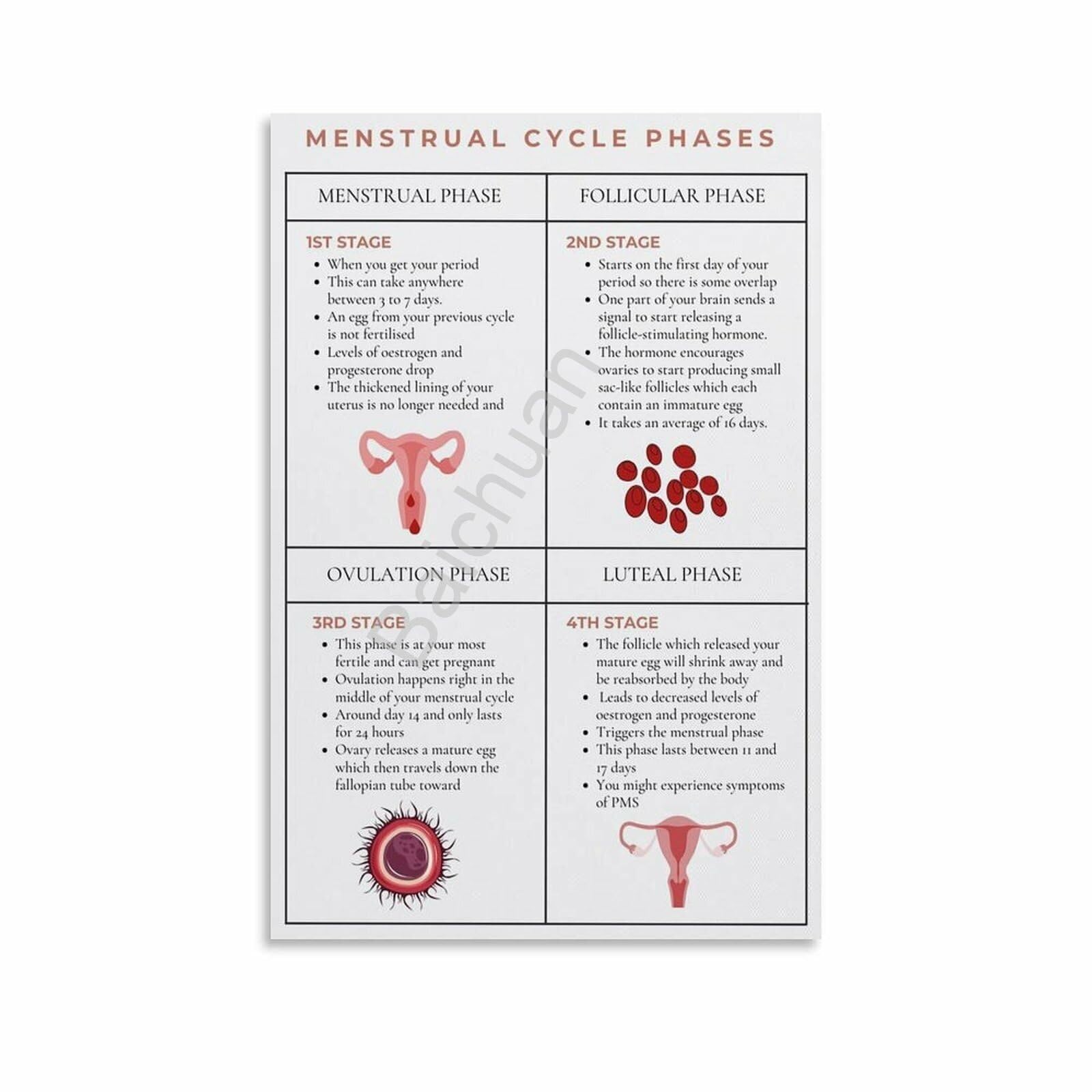 Hormone Rhythm Chart poster encadré santé holistique femmes 20x30 cm