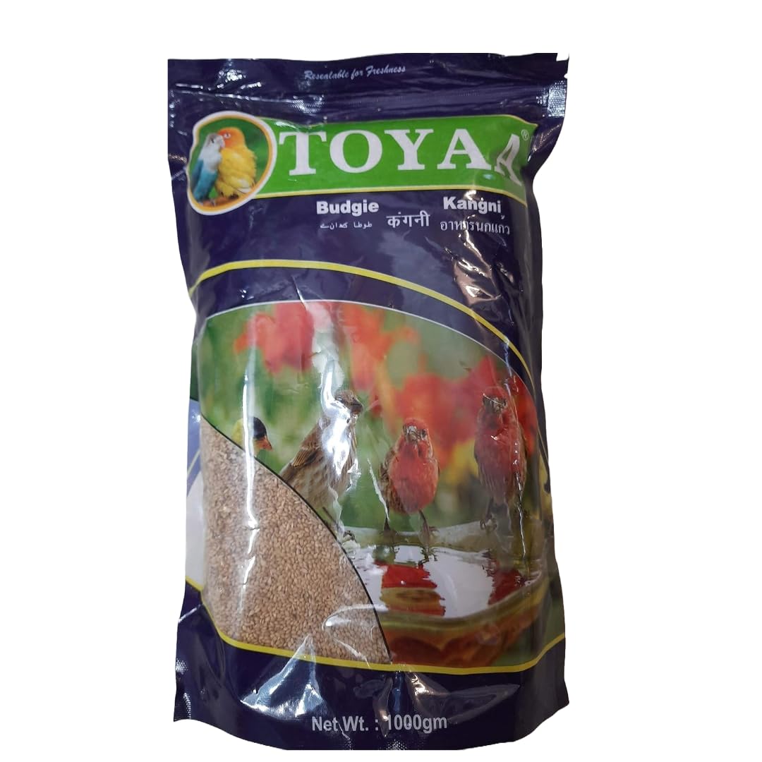 See full amazon price history chart for Toya All Life Stages Vegetable Flavour Bird Food Seeds (Kangni) - 1000 Gram Toya All Life Stages Vegetable Flavour Bird Food Seeds (Kangni) - 1000 Gram (B0D9KD6QBB) Amazon Price History, Amazon Price Tracker