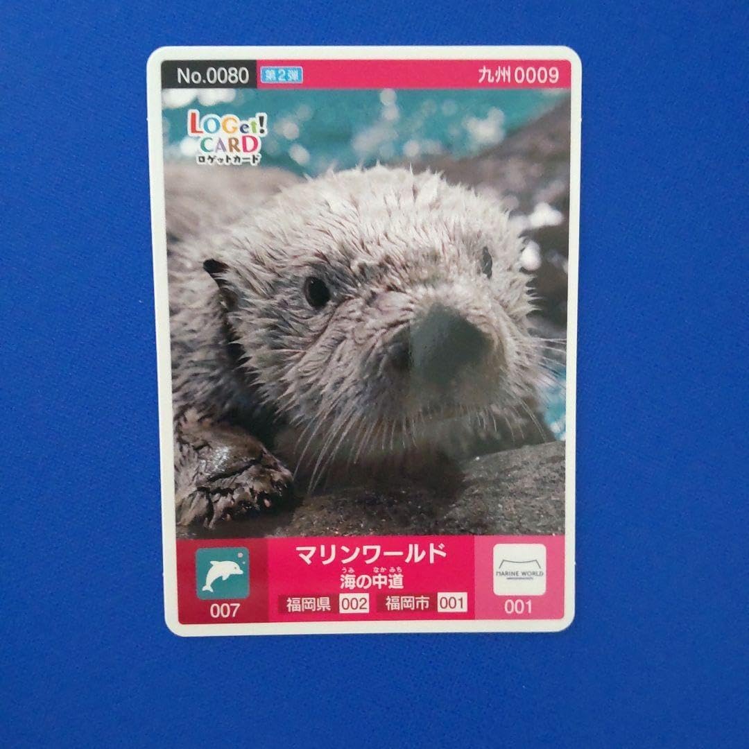 ロゲットカード マリンワールド海の中道 初期ロット 001