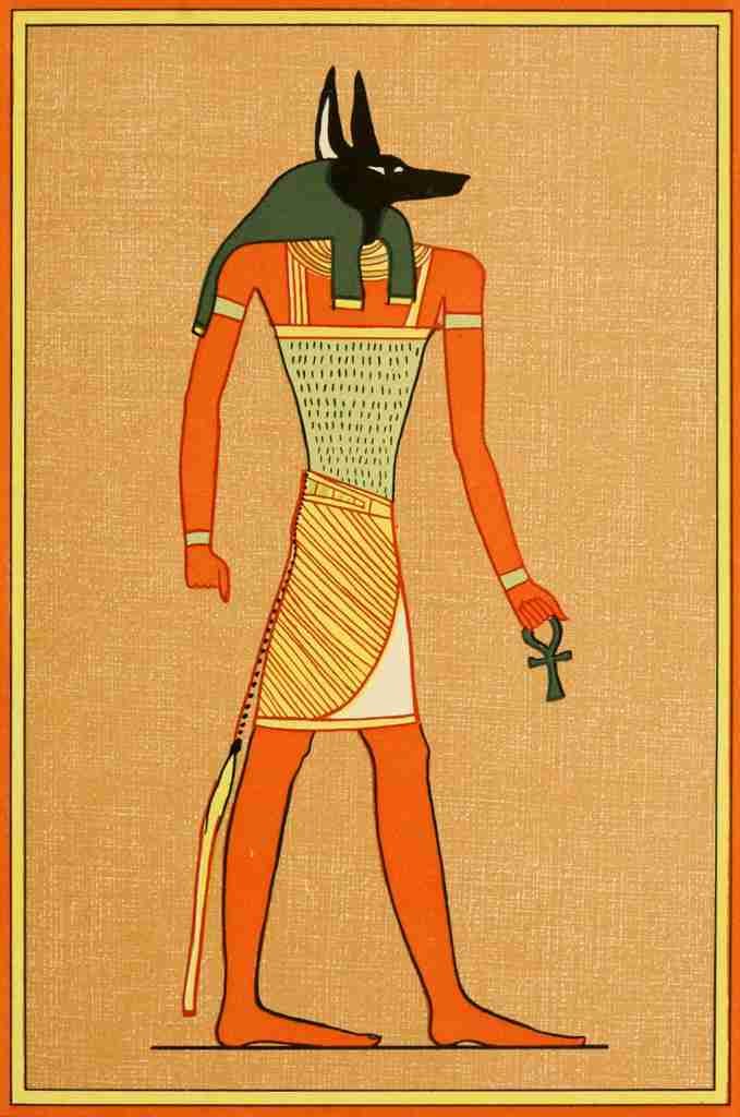 A4 Photo The Gods of the Egyptians 1904 Anubis the god of the dead Print Poster
