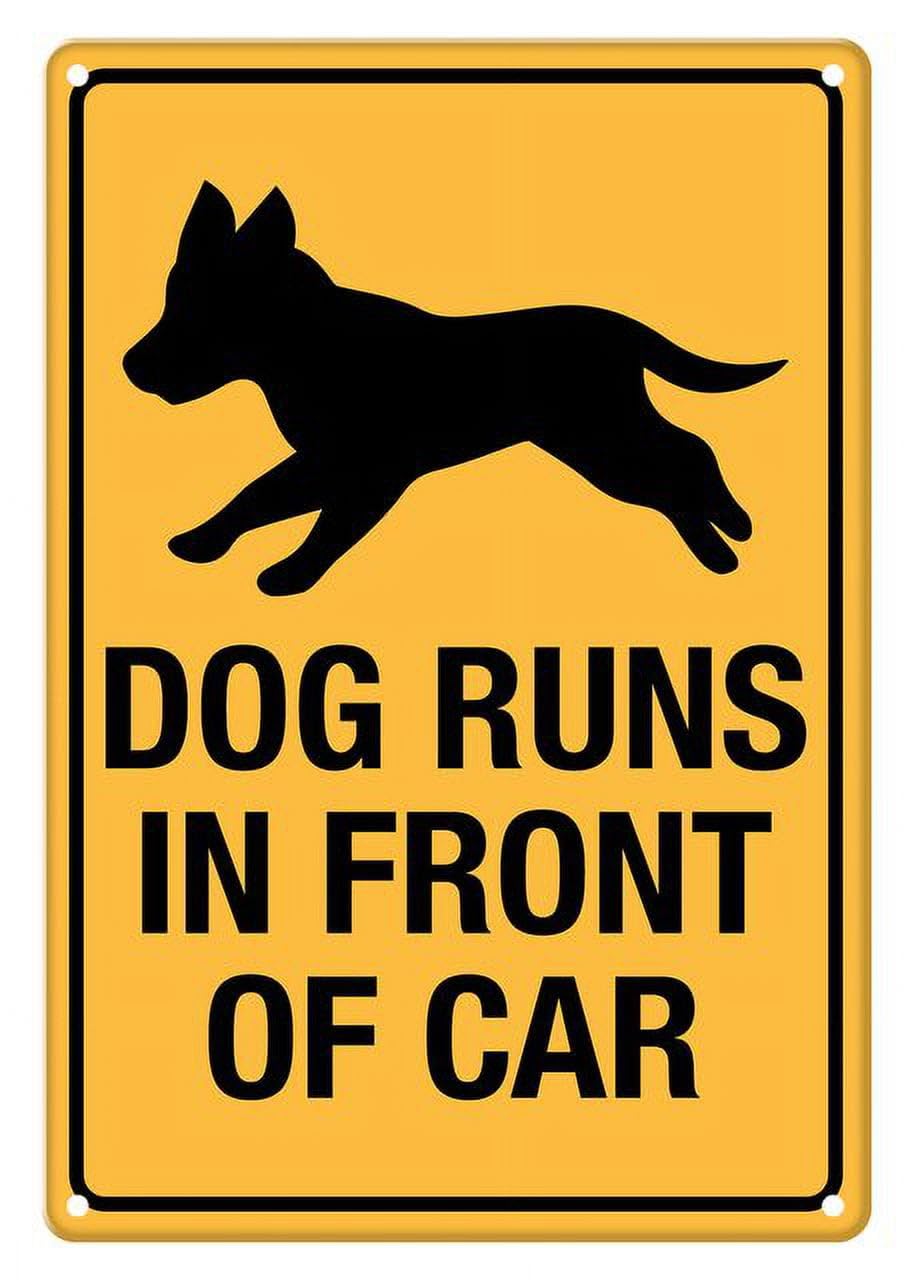 peiyeety Dog Runs in Front of Car Aluminum Tin Sign for Home Kitchen Wall Decor 12X8Inch