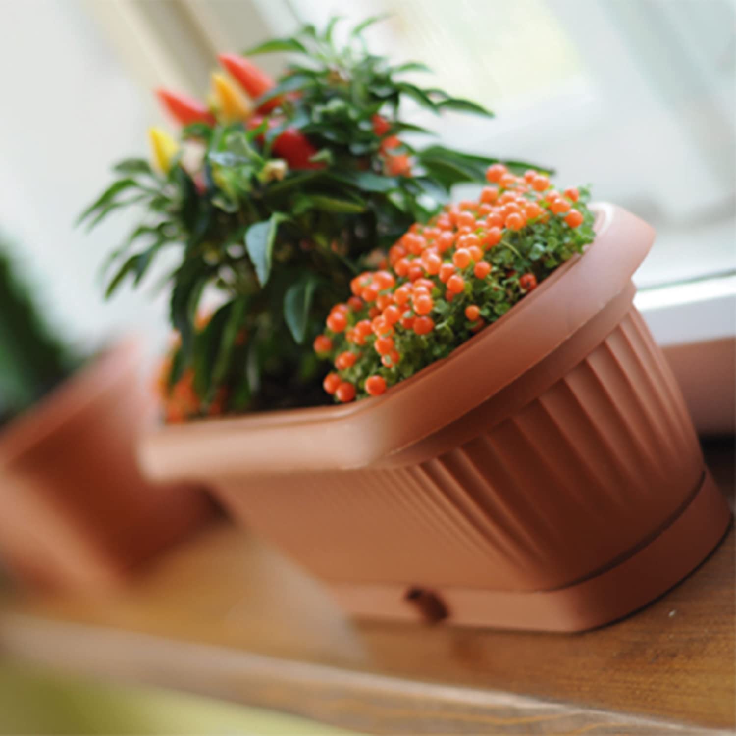 IMJ-Global Set di 10 Vasi per Fiori Piante Ovali Terra DCK In Plastica 26,5x12,4x10cm Da Interno Esterno Terracotta Volume 2 Litri Design Classici