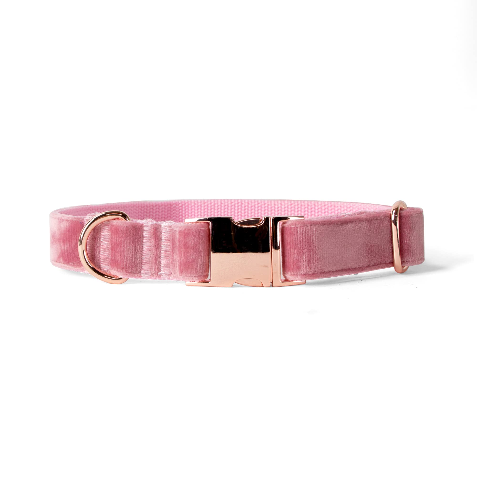 Collier chien velours boucle or rose grande taille L