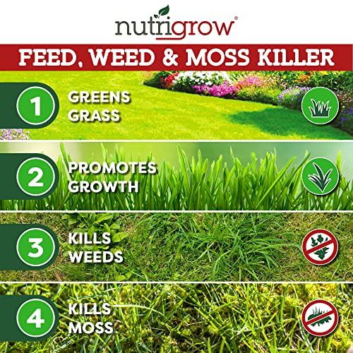 Nutrigrow Professional 4-in-1 Feed, Weed & Moss Killer Lawn Fertiliser 625m² Pack - Greens grass, kills moss & weeds