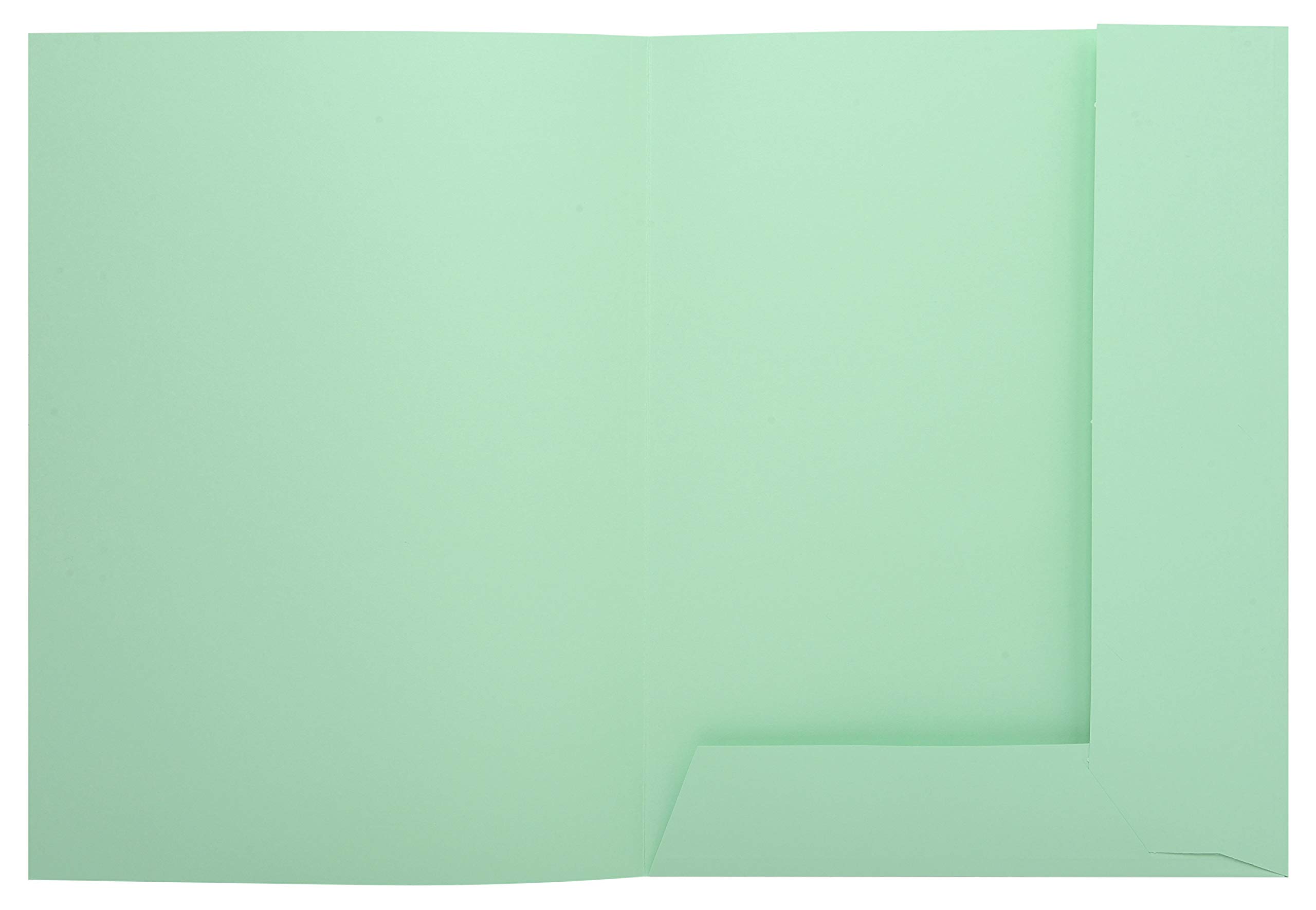 Exacompta - Réf. 335000E - Paquet de 50 chemises rigides imprimées avec 2 rabats SUPER 210 g/m² - couleurs pastel - chemises certifiées PEFC™- dimensions 24 x 32cm pour format A4- 5 couleurs assorties
