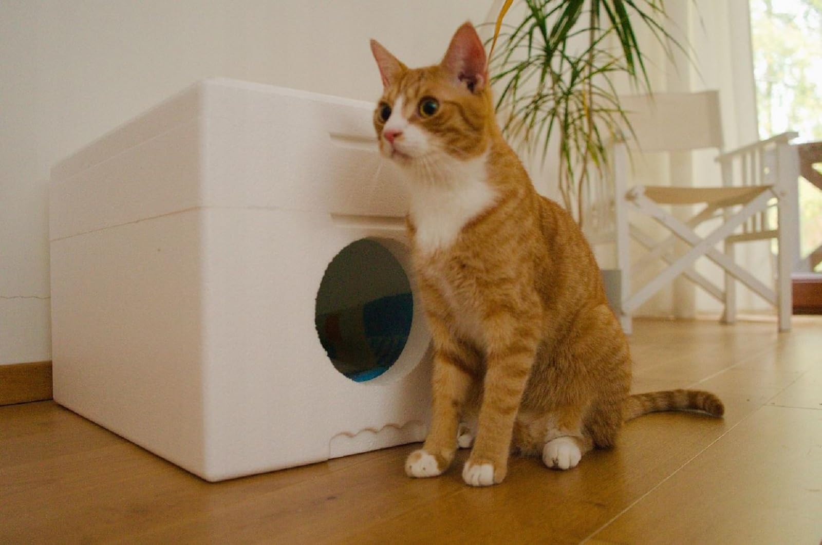 QLS Niche pour chat en polystyrène résistante aux intempéries - 58 x 38 cm - Abri isolé pour l'extérieur