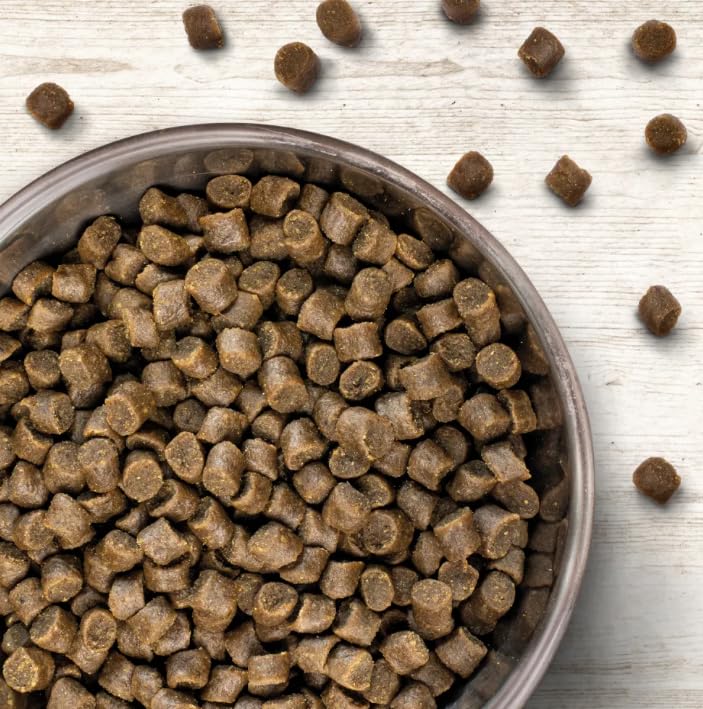 Wildborn Soft Diamond Mini 1 kg | Trockenfutter für Hunde | Neue Rezeptur